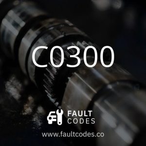 C0300 Image