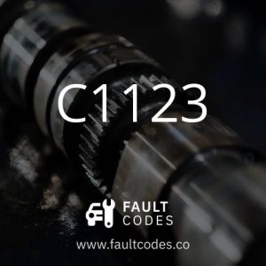 C1123 Image